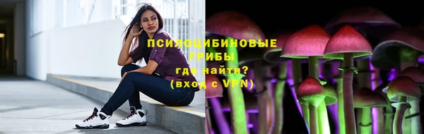 бошки Богородицк