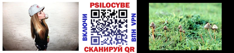 ОМГ ОМГ ссылка  Рыбинск  Псилоцибиновые грибы Magic Shrooms 